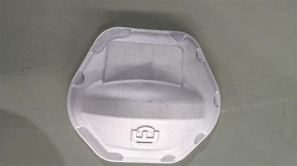 custom aluminum differential casting housing